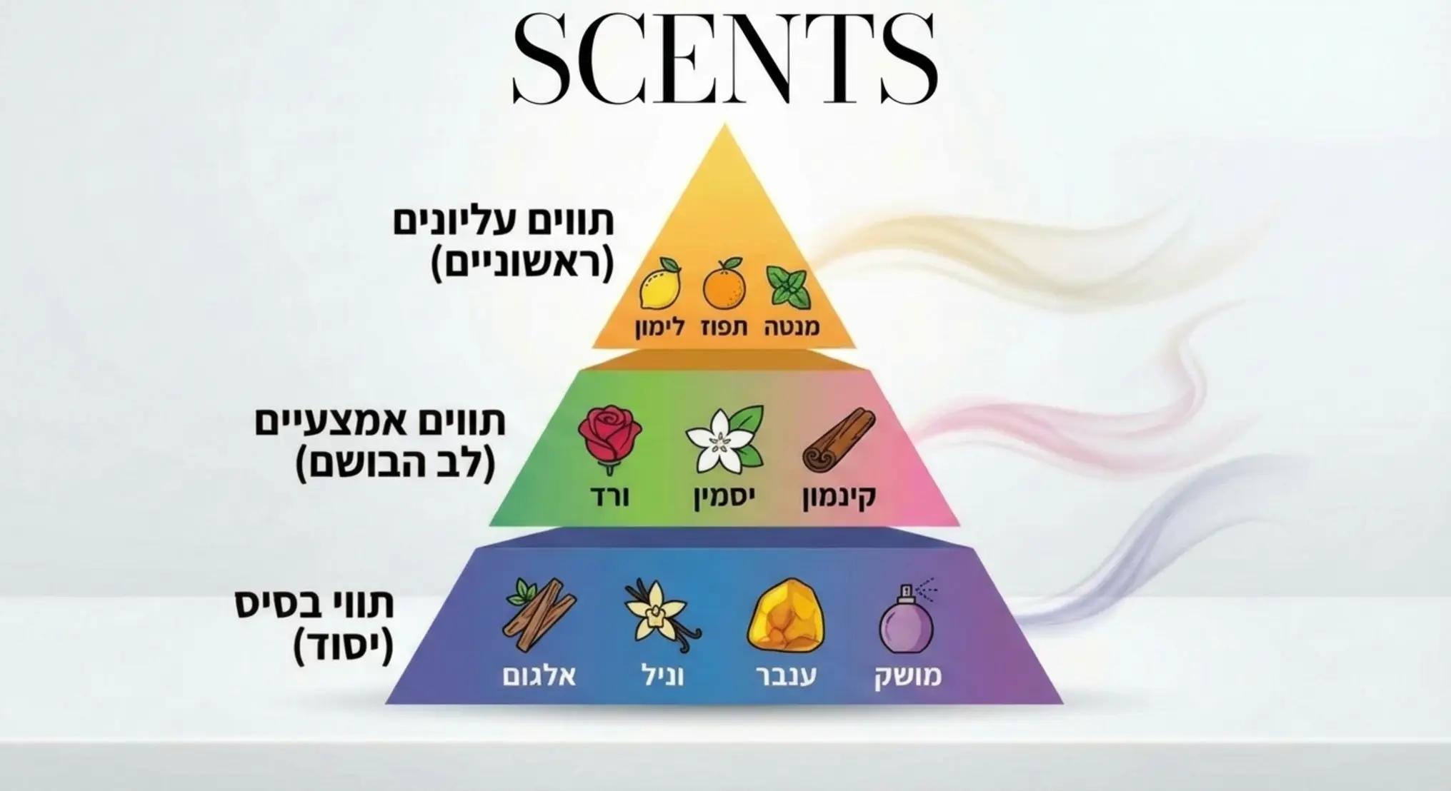 אינפוגרפיקה המציגה את פירמידת הריח עם חלוקה לתווים עליונים, אמצעיים ותווי בסיס בצבעים שונים ודוגמאות לכל שכבה