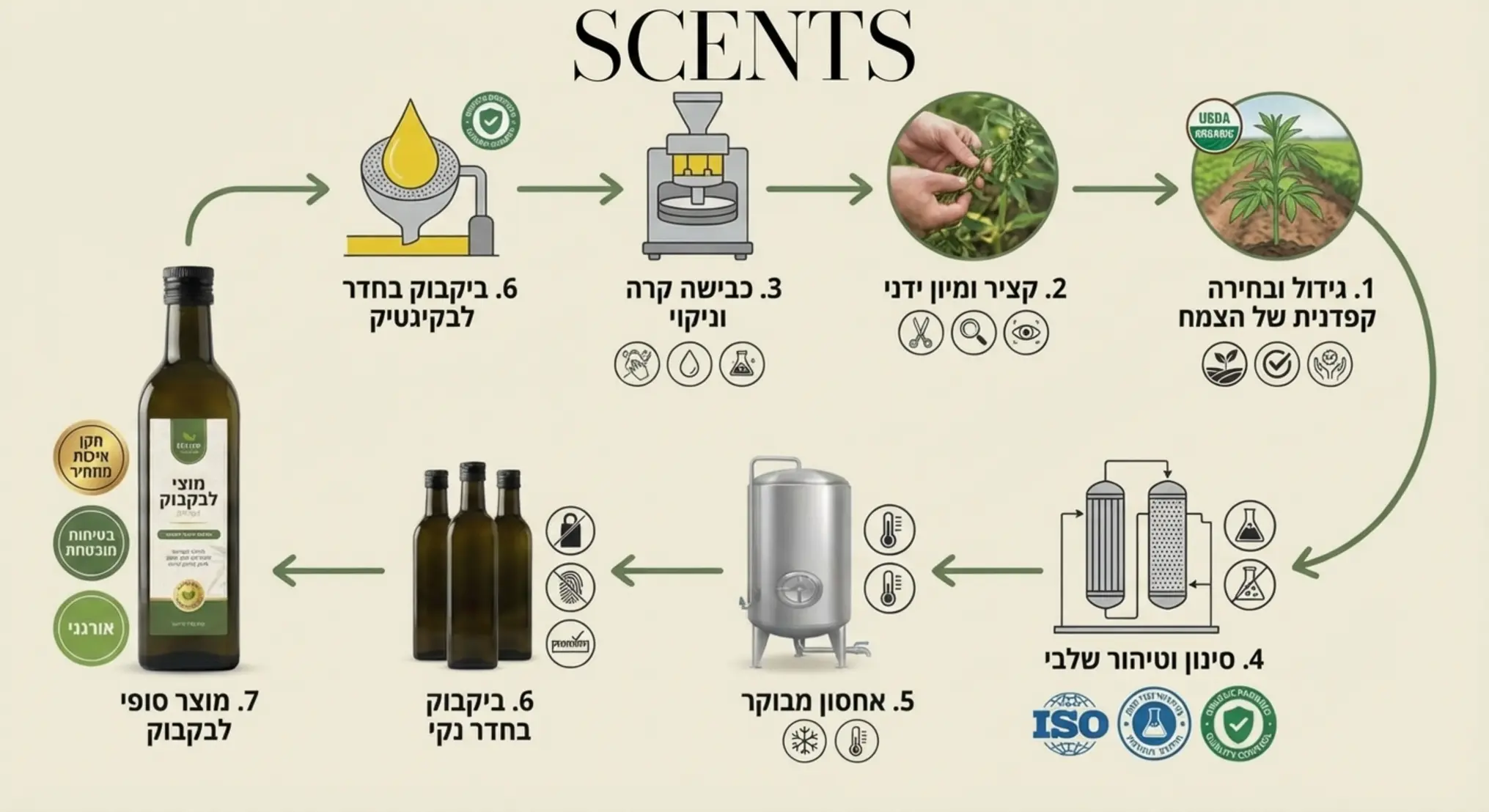 אינפוגרפיקה המדגימה את תהליך הפקת השמן מן הצמח ועד לבקבוק תוך הדגשת תקני בטיחות ואיכות מחמירים