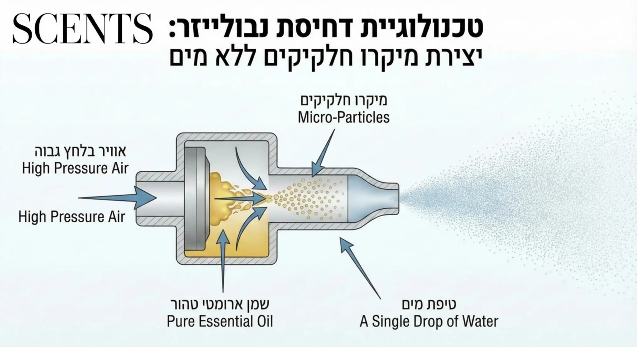 אינפוגרפיקה המראה את טכנולוגיית הדחיסה של נבולייזר, שבה אוויר בלחץ גבוה הופך שמן ארומטי טהור למיקרו חלקיקים ללא שימוש בטיפת מים אחת